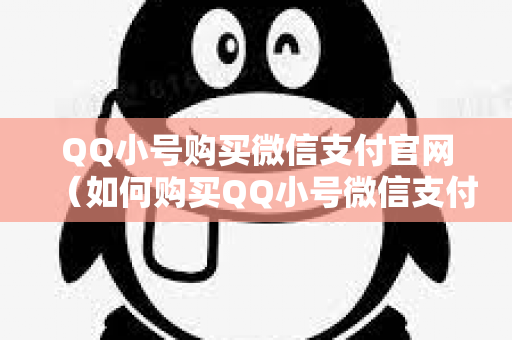QQ小号购买微信支付官网（如何购买QQ小号微信支付）